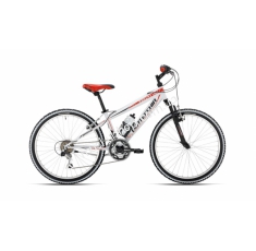 Велосипед Bottecchia 24 MTB 18 S Boy 50022457. Магазин Muskulshop