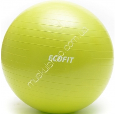 Мяч для фитнеса Ecofit MD1225 65 см. Магазин Muskulshop