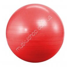 Мяч для фитнеса Landfit Fitness Ball 55 см. Магазин Muskulshop
