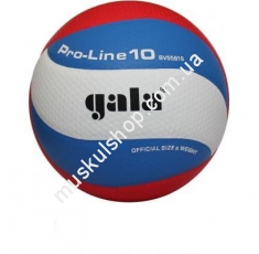 Волейбольный мяч Gala Pro-Line BV5581SA. Магазин Muskulshop