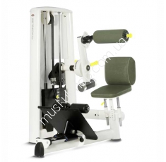GYM80 Medical Special Abdominal Machine. Магазин Muskulshop
