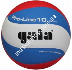 Волейбольный мяч Gala Pro-line BV5121SA. Магазин Muskulshop