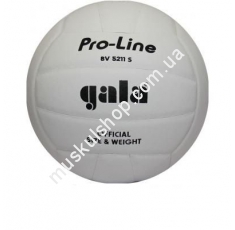 Волейбольный мяч Gala Pro-Line BV5211SAE . Магазин Muskulshop