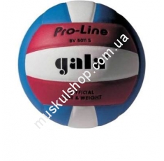 Волейбольный мяч Gala Pro-Line BV5011SAE. Магазин Muskulshop