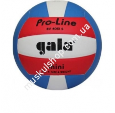 Волейбольный мяч Gala Pro-Line BV4051SAE. Магазин Muskulshop