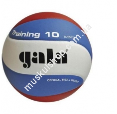 Волейбольный мяч Gala Training BV5561SB. Магазин Muskulshop