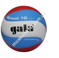 Волейбольный мяч Gala School BV5711SB. Магазин Muskulshop