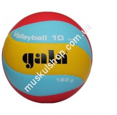 Волейбольный мяч Gala Training BV5541SB. Магазин Muskulshop