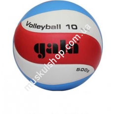 Волейбольный мяч Gala Training BV5471SB . Магазин Muskulshop
