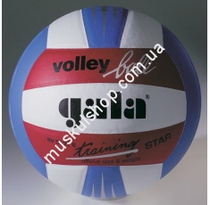 Волейбольный мяч Gala Training BV5531SBE . Магазин Muskulshop