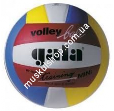Волейбольный мяч Gala Training BV4041SB*E. Магазин Muskulshop