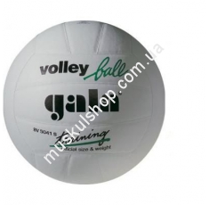 Волейбольный мяч Gala Training BV5041SB*E . Магазин Muskulshop