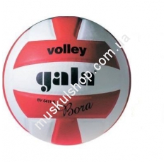 Волейбольный мяч Gala Bora BV5411SCE. Магазин Muskulshop