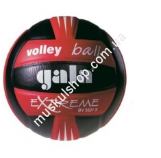 Волейбольный мяч Gala Extreme BV5521SCE. Магазин Muskulshop