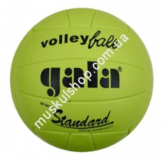 Волейбольный мяч Gala Standard 7BP5073SC3. Магазин Muskulshop