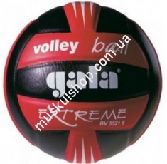 Волейбольный мяч Gala Volleyball BV5221SE1 . Магазин Muskulshop